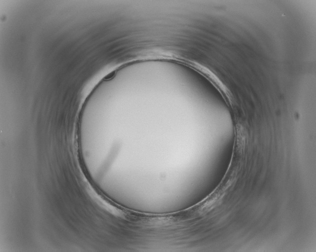 X0000078831387200611271246