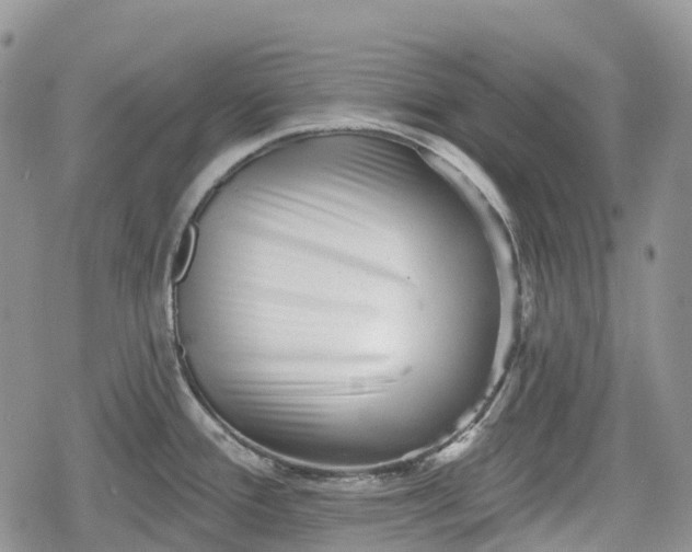 X0000078831388200611271246