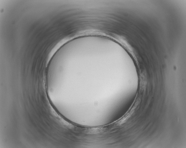 X0000078831390200611271246