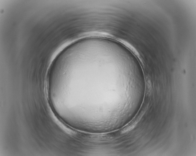 X0000078831391200611271246