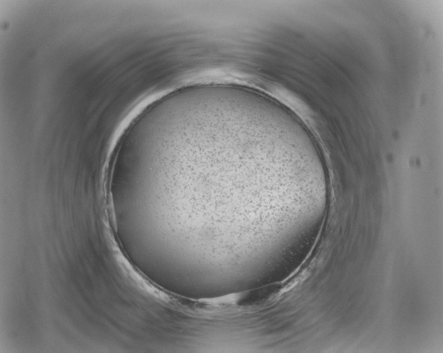 X0000078831392200611271246