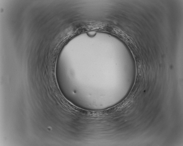 X0000078831393200611271245