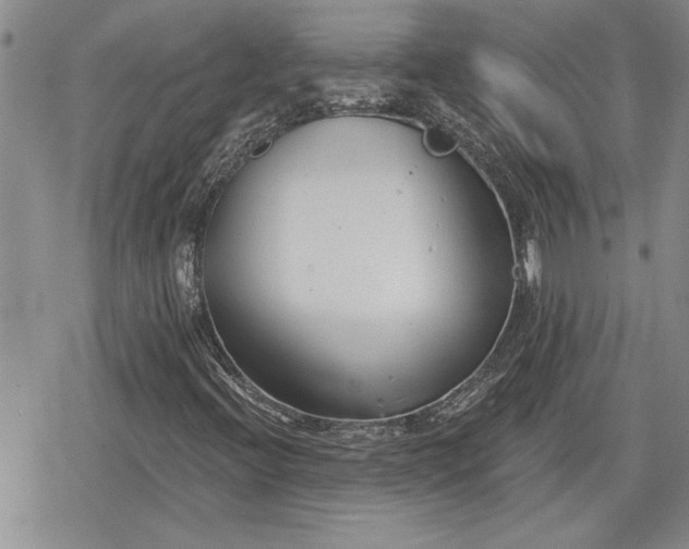 X0000078831396200611271245