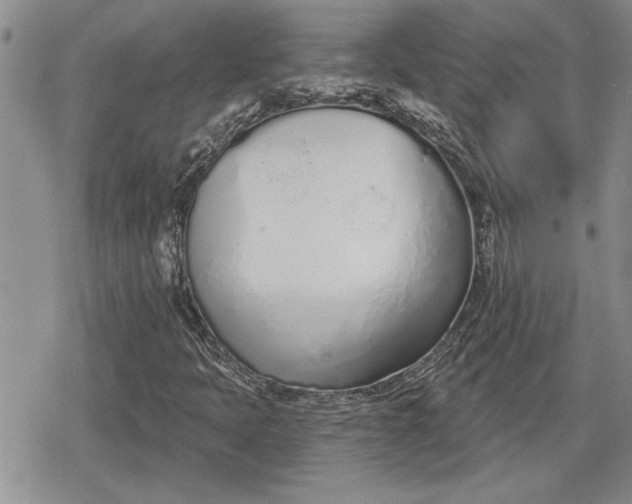 X0000078831397200611271245