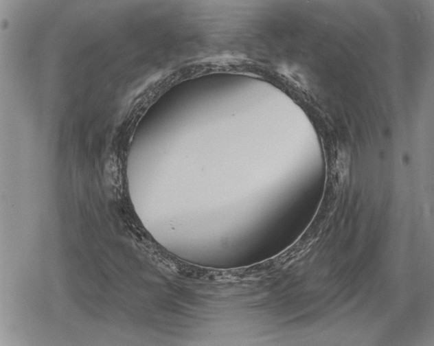 X0000078831398200611271245