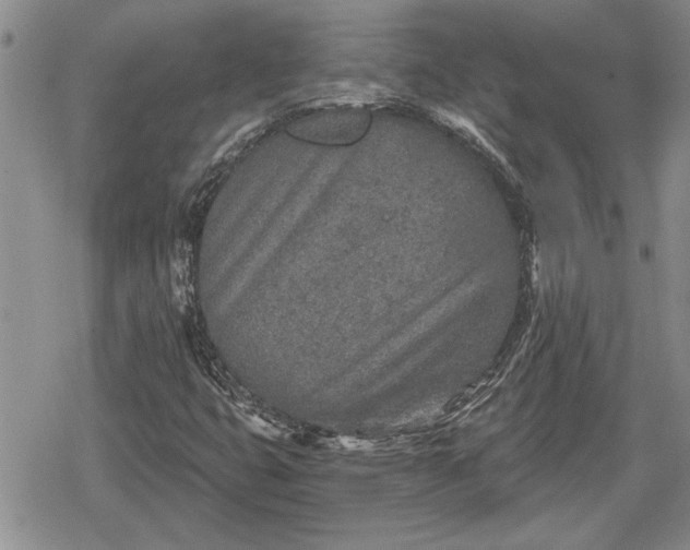 X0000078831399200611271245