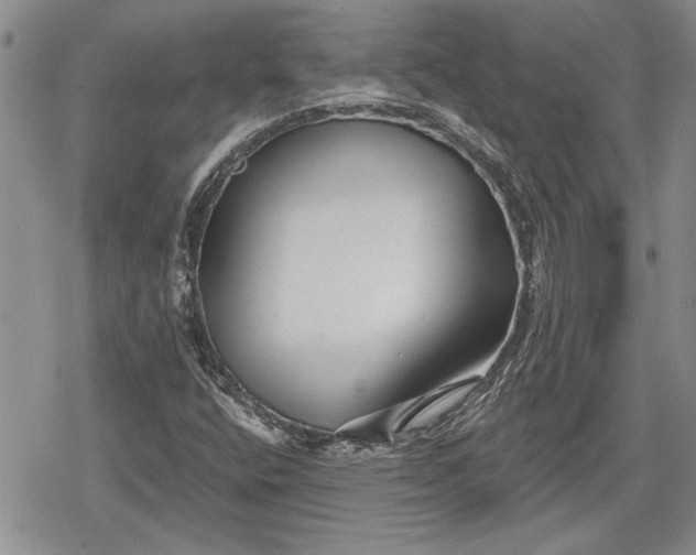 X0000078831400200611271245