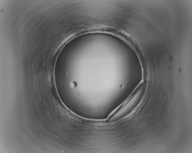 X0000078831401200611271245