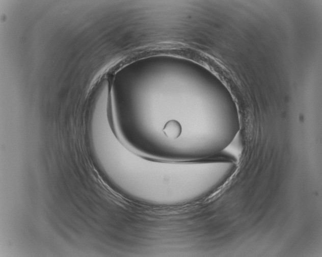 X0000078831402200611271245