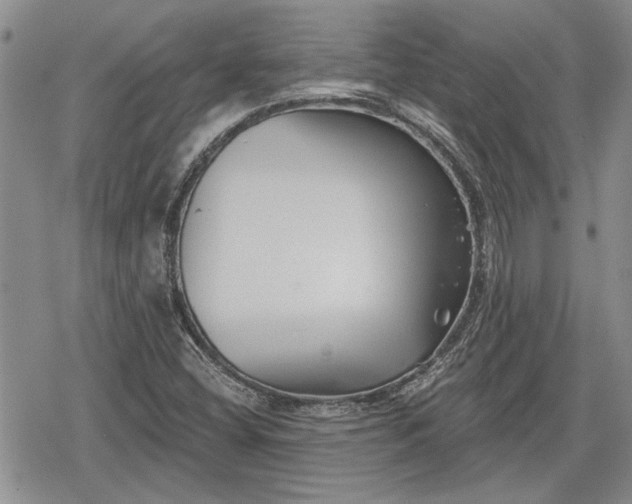 X0000078831404200611271245