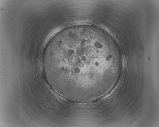 X0000078831405200611271245