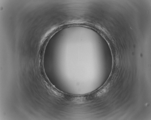 X0000078831406200611271245