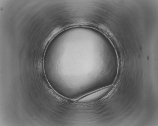 X0000078831409200611271245