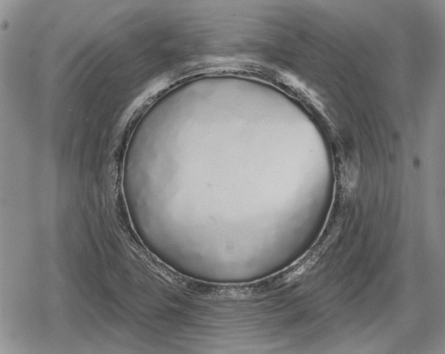 X0000078831411200611271245