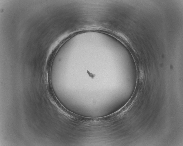 X0000078831414200611271245