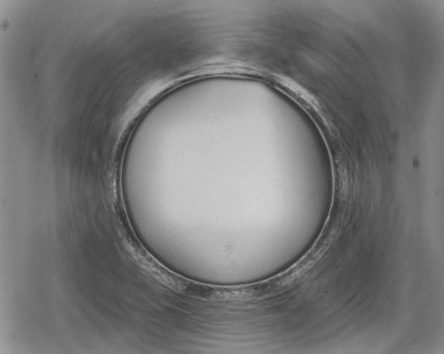 X0000078831415200611271246