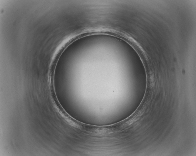 X0000078831416200611271246