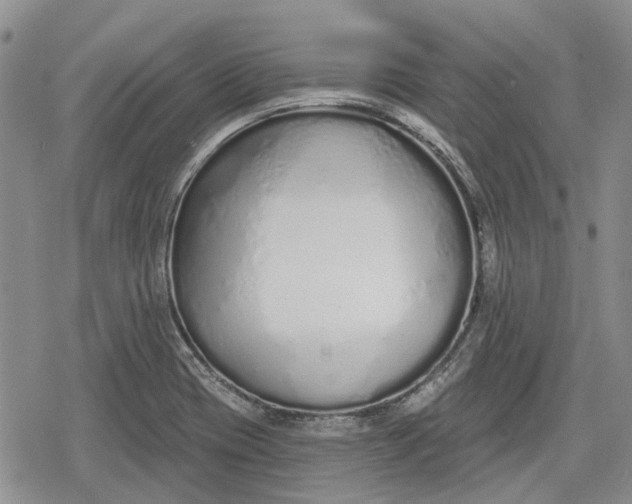 X0000078831417200611271246