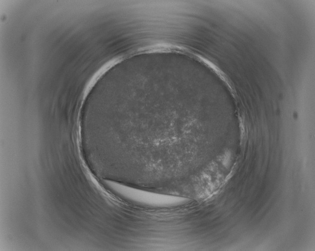 X0000078831418200611271246