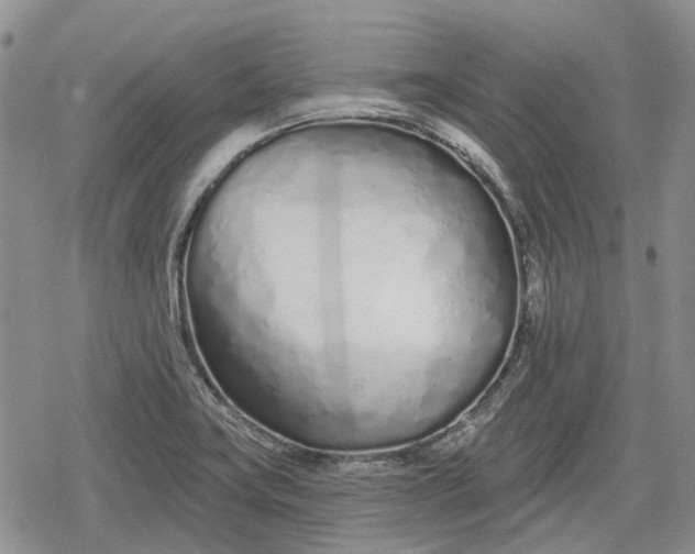 X0000078831419200611271246