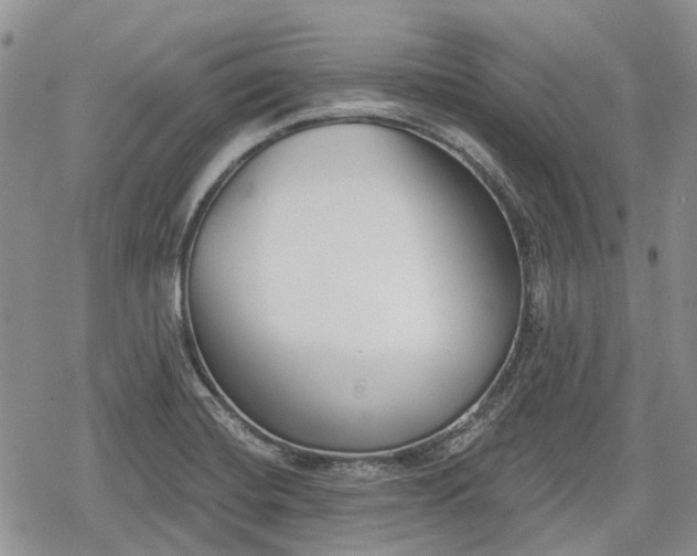 X0000078831420200611271246