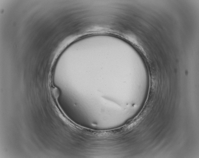 X0000078831421200611271246