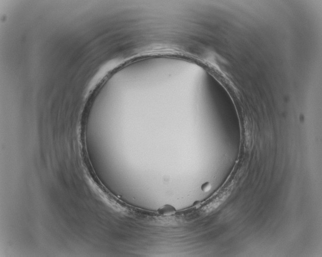 X0000078831422200611271246