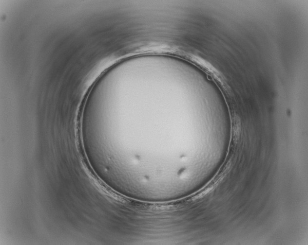 X0000078831423200611271246