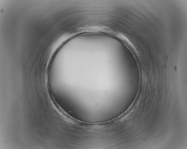 X0000078831424200611271246