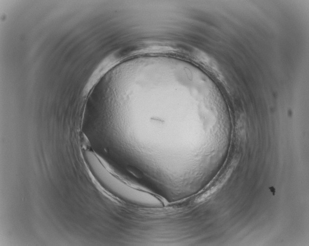 X0000078831425200611271246