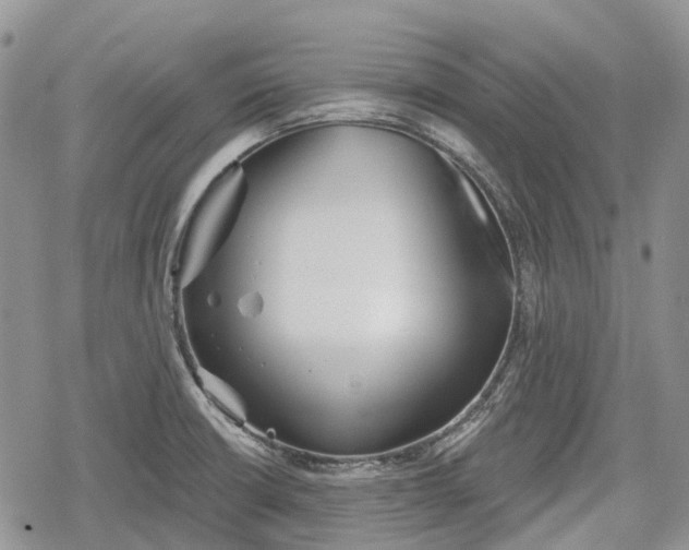 X0000078831426200611271246