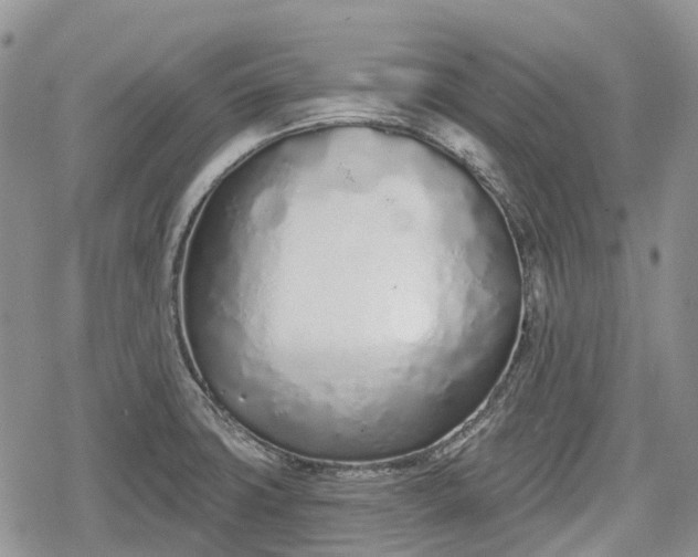 X0000078831427200611271246