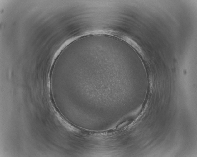 X0000078831428200611271246