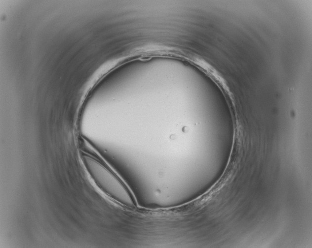 X0000078831429200611271246