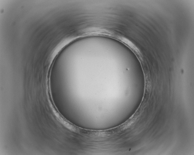 X0000078831431200611271246