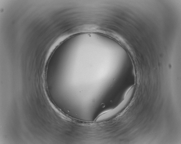 X0000078831432200611271246