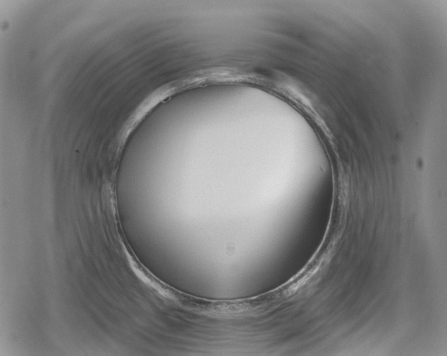 X0000078831433200611271246