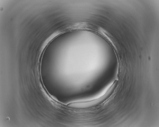 X0000078831434200611271246