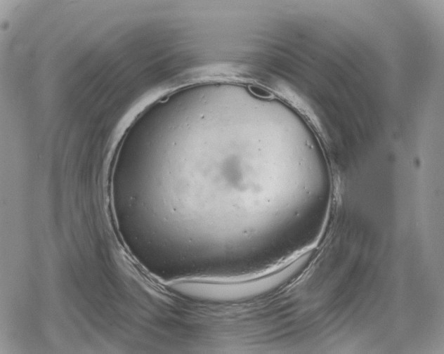 X0000078831435200611271246