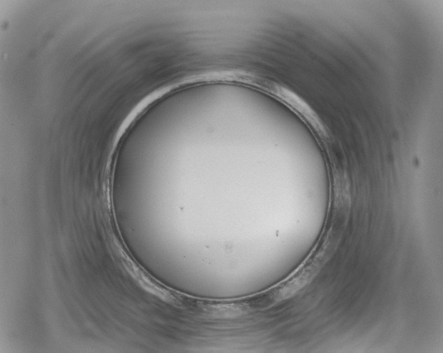 X0000078831436200611271246