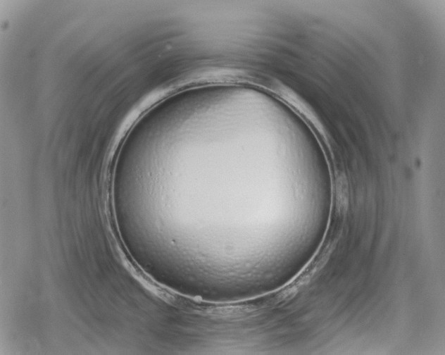 X0000078831437200611271246