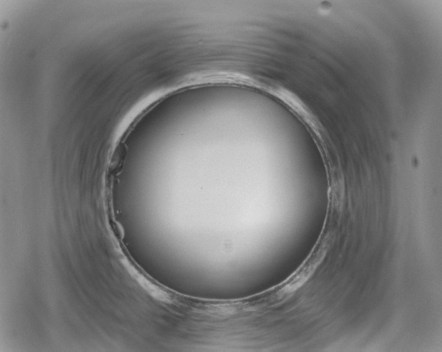 X0000078831438200611271246