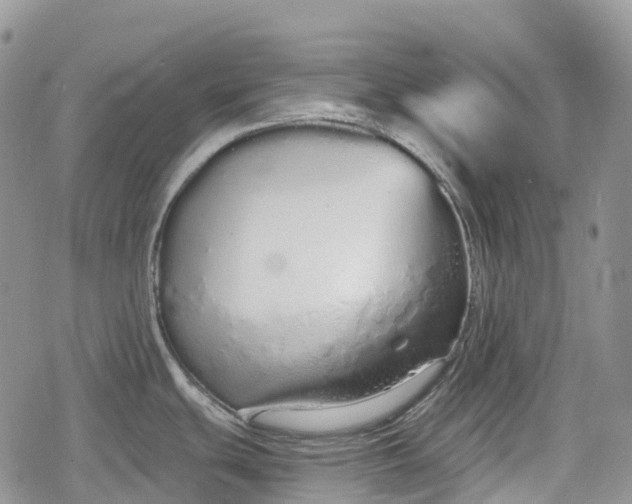 X0000078831439200611271246