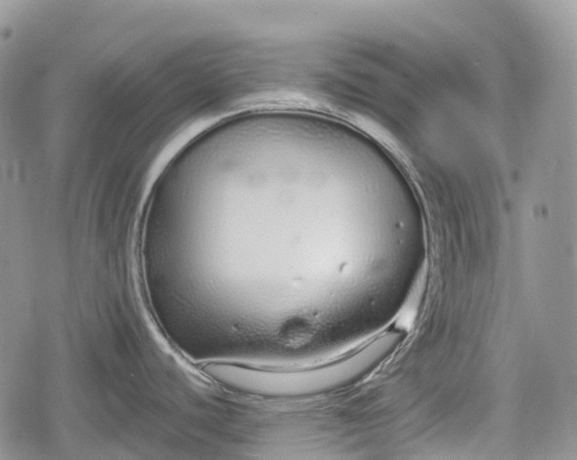 X0000078831440200611271246