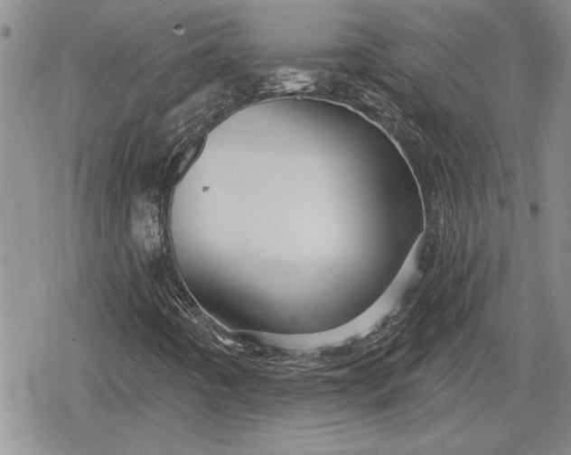 X0000078831442200611271245