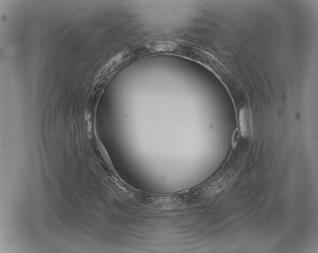 X0000078831443200611271245