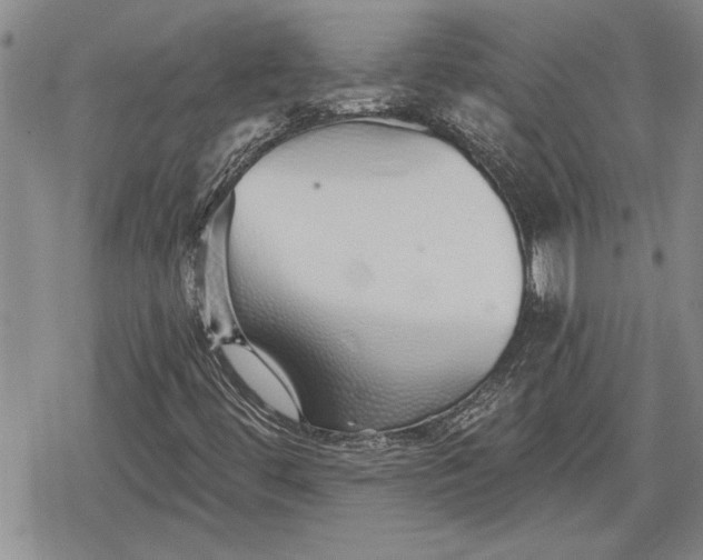 X0000078831444200611271245