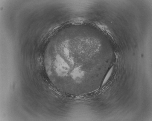 X0000078831445200611271245