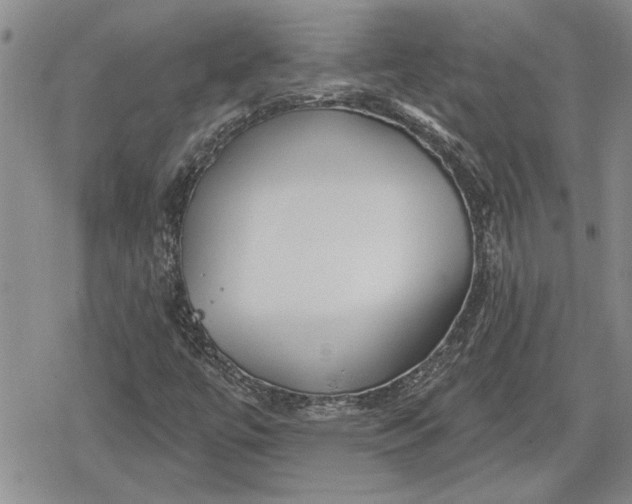 X0000078831447200611271245