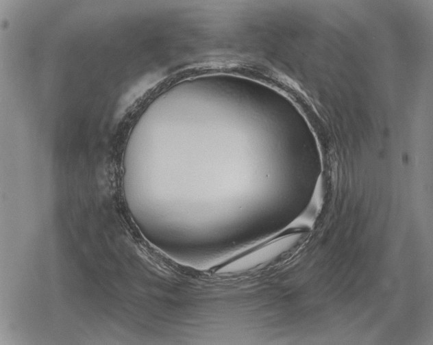 X0000078831448200611271245